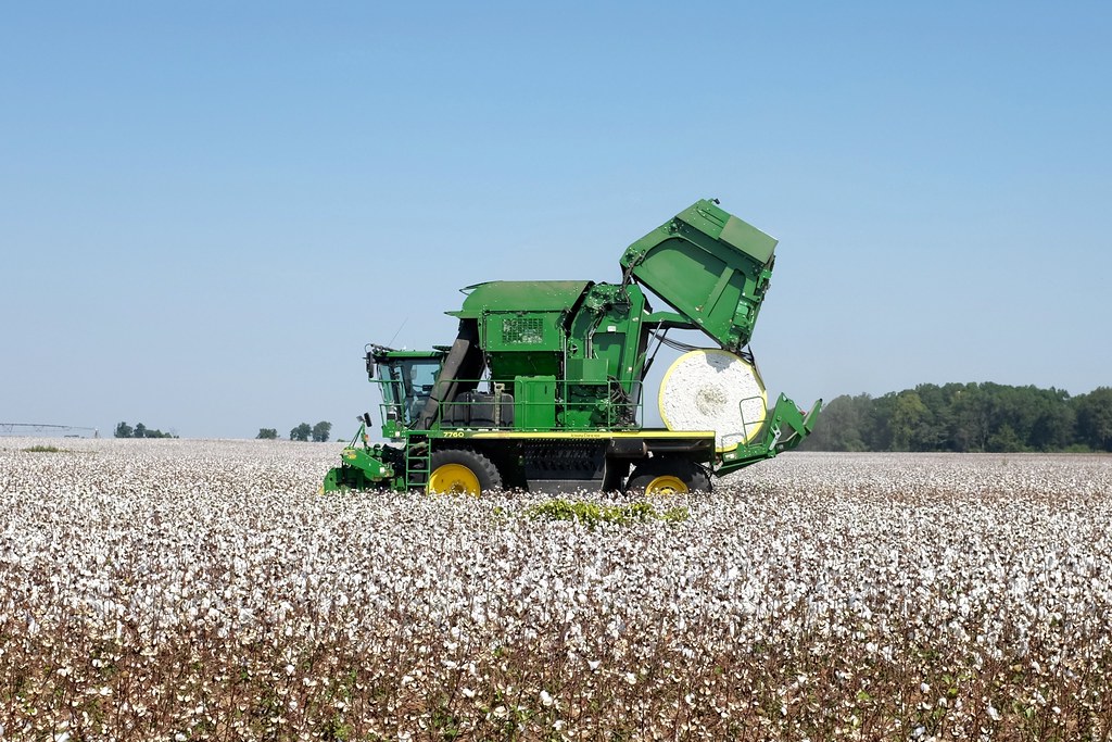Your Trusted Partner in Global Agricultural Trade ·
